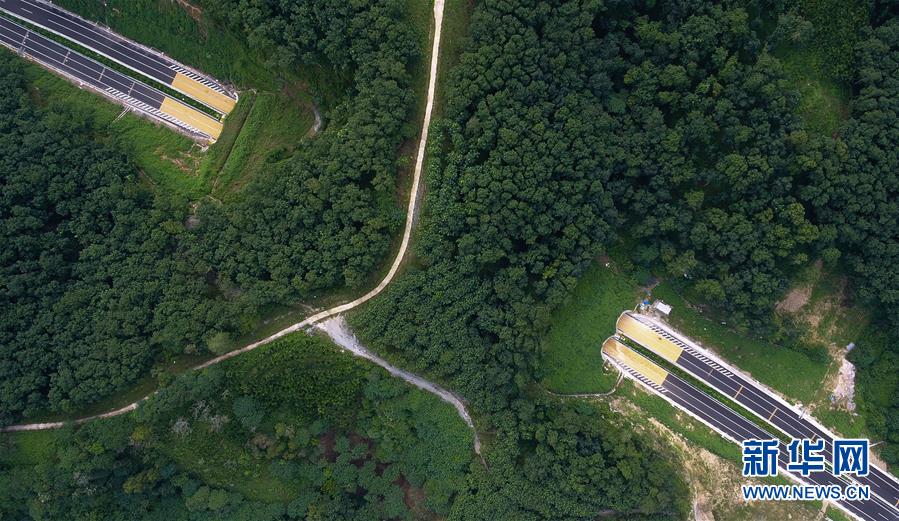 （社會(huì)）（4）海南：瓊樂高速開通在即